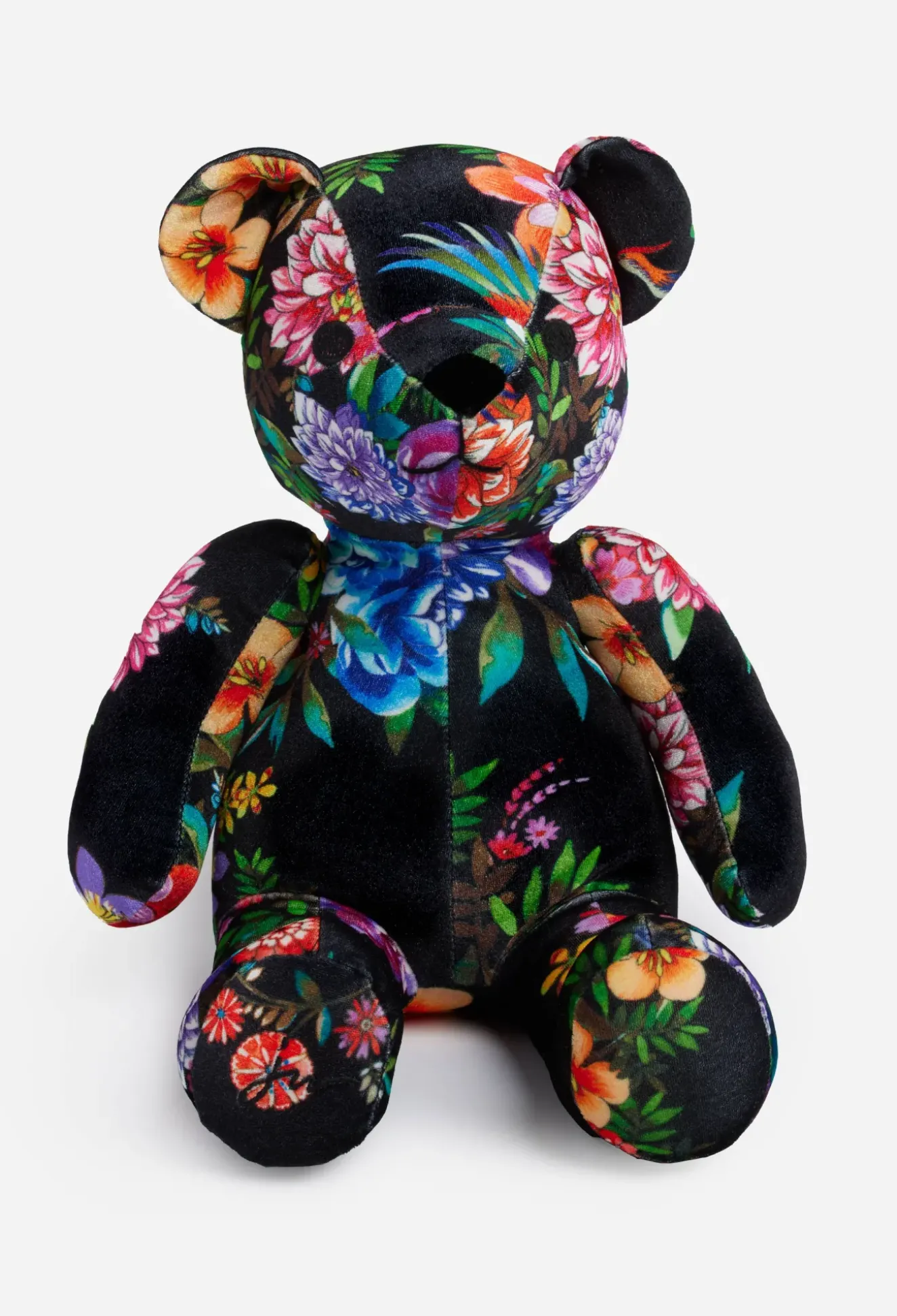 Dreamer Bear