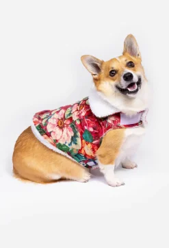 Sherpa Pet Jacket
