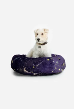 Small Dog Bed