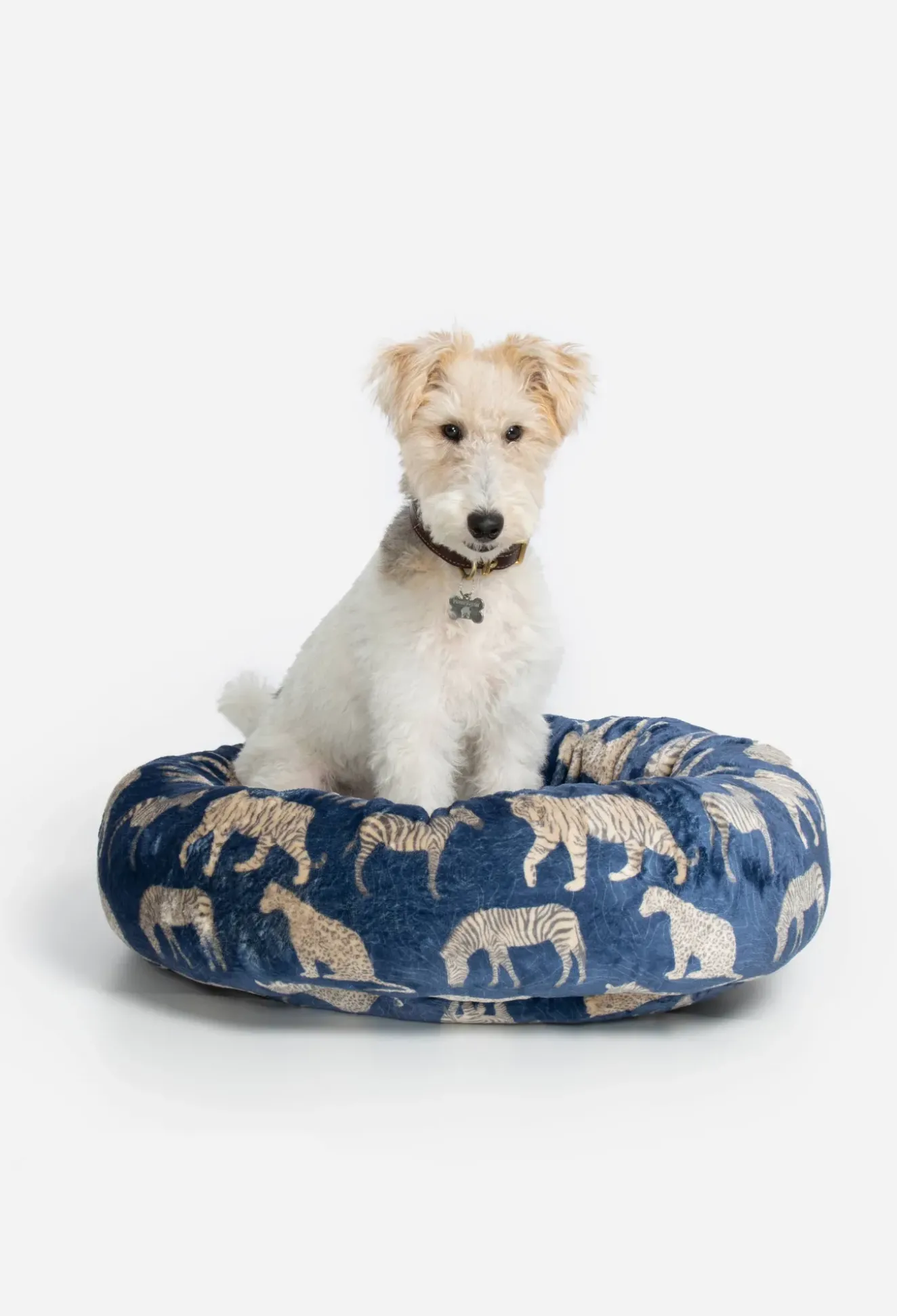 Small Dog Bed