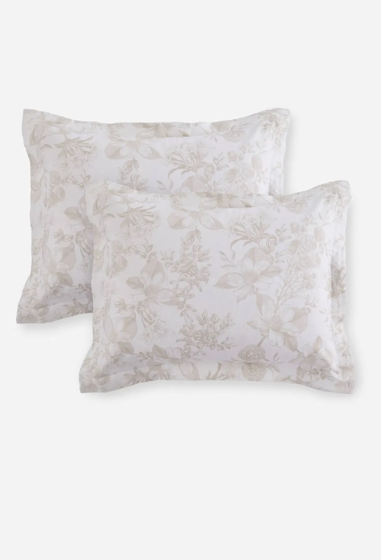 Valentina Standard Shams Pair